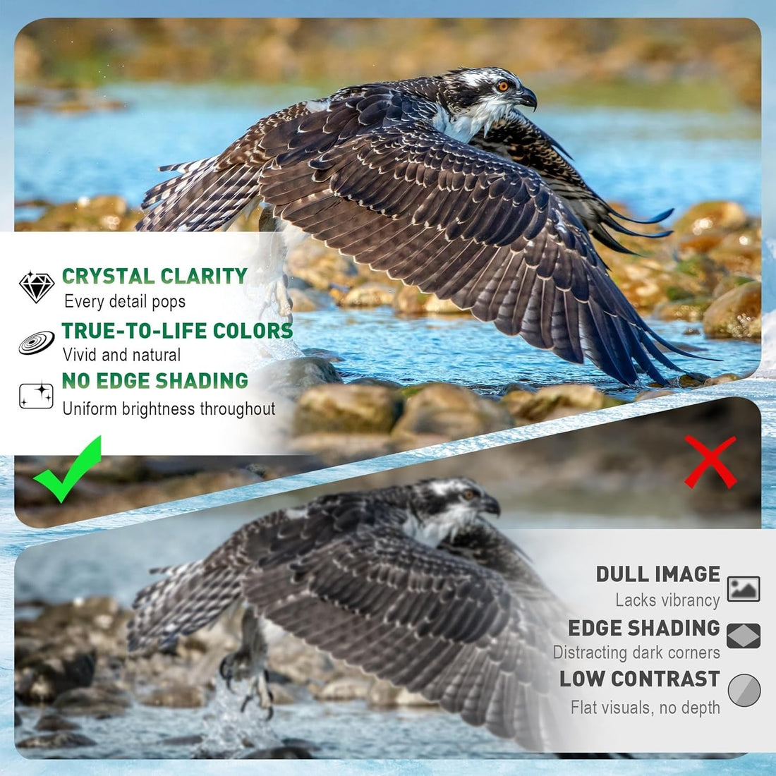 20x50 High Powered Binoculars For Adults, Waterproof Compact Binoculars With Low Light Vision For Bird Watching Hunting Football Games Travel Stargazing Cruise With Carrying Bag